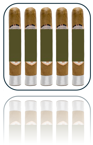 Rocky Patel White Label Robusto - 5 Pack